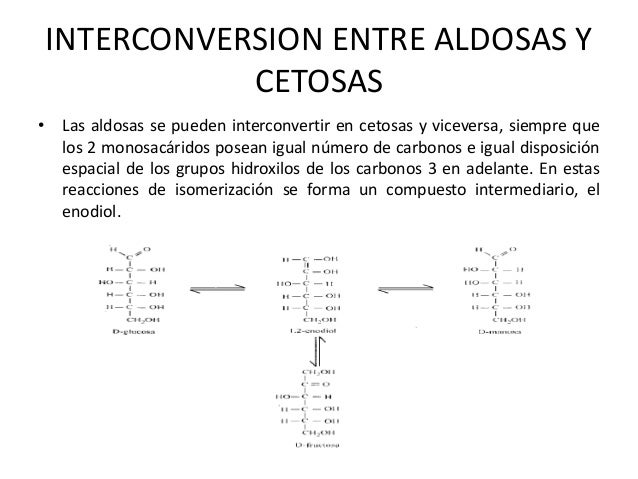 interconversion de hexosas